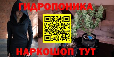 не бодяженный Новозыбков